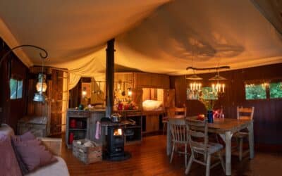 Inside a Safari Tent at Feather Down Farms