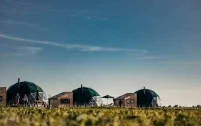 Glamping accommodation at Toms Eco Lodges The Isle of Wight