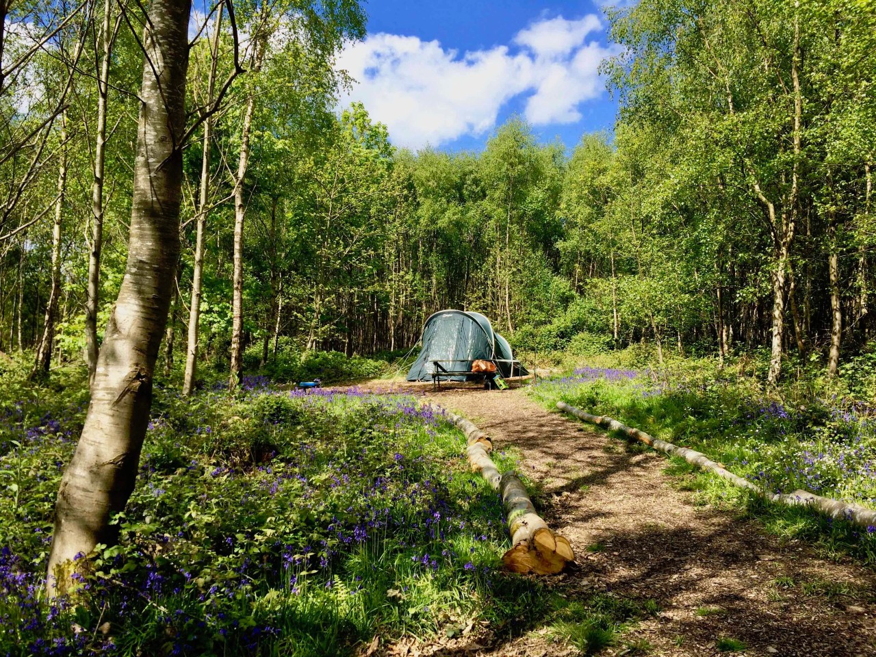 beech-estate-campsite-woodland-glamping-battle