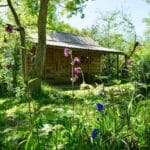 cabin at Forest Garden Shovelstrode Sussex