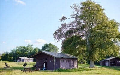 Safarii Tent at Mount Pleasant Feather Down Farm Mount Pleasant Feather Down Farm Blandford Forum