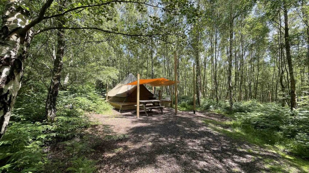 Woodland Tent at Beech Estate Campsite near Battle Sussex