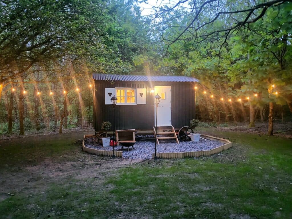 woodland-retreat-shepherds-hut-isle-of-wight
