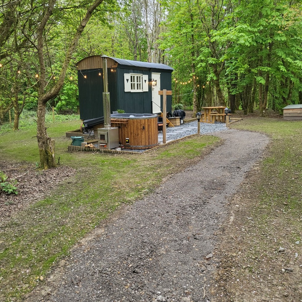 woodland-retreat-shepherds-hut-isle-of-wight