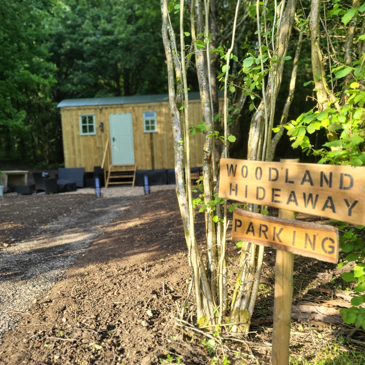 Can You Take Dogs To The Hut Isle Of Wight