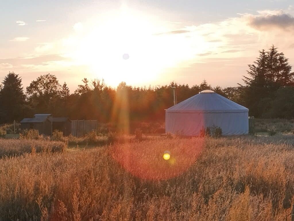 safari tent glamping wales