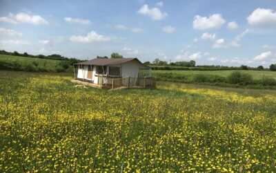 Fields at Enigma Lodge Derbyshire