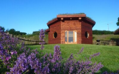 Aerona Eco Cabin at Treberfedd Farm in Wales