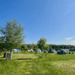 Selson Farm at Fallow Fields Glamping Kent