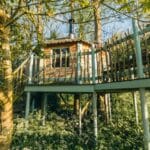 West Lexham Treehouses and Cabins with Swimming Pool in Norfolk