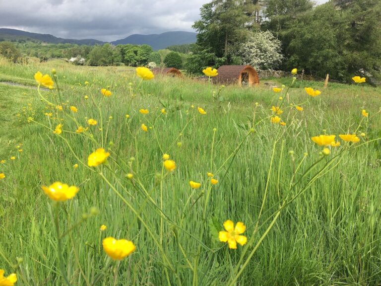 Peace and tranquility at Kentmere farm pods