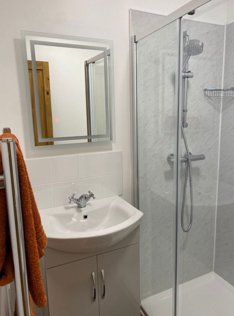 Cabin bathroom with a basin, a mirror and a walk-in shower