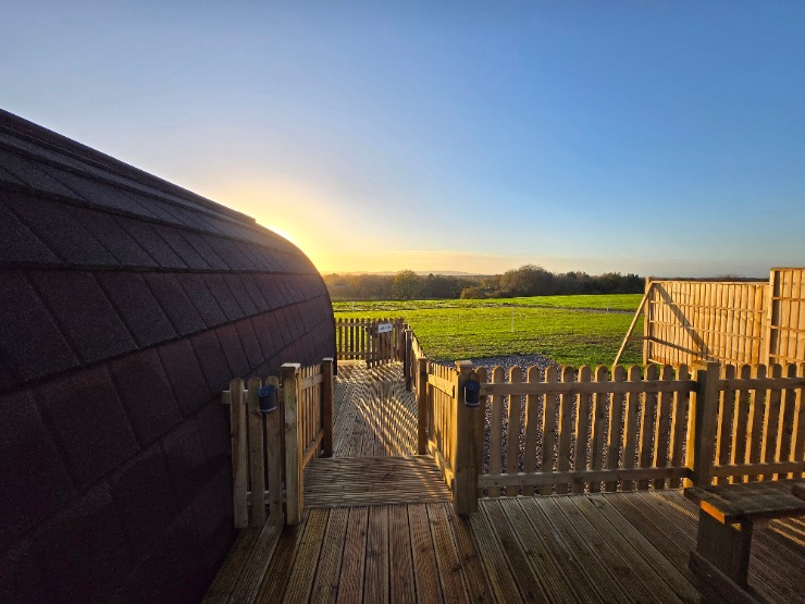 Alpaca Glamping Pod at Welltrough Farm Cheshire