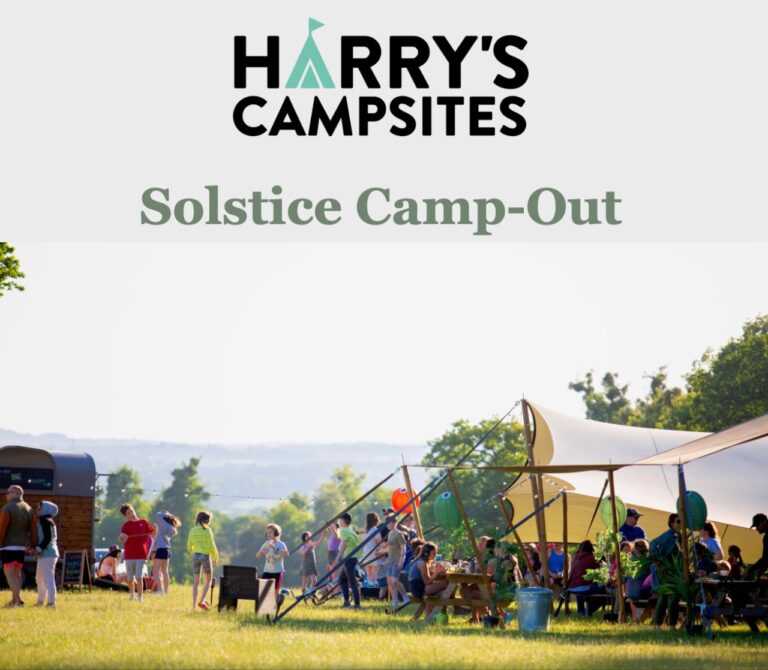 Field at Bell Tent in Harrys Field Glamping Hampshire
