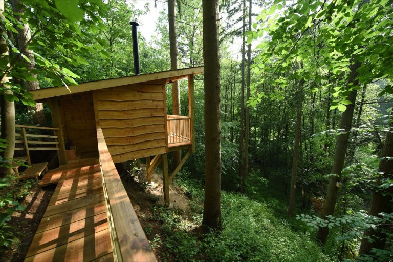 The Treetop Cabin at Redwood Valley glamping, raised among the trees on a wooded slope in Powys