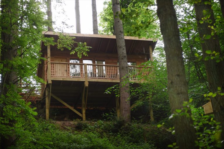 The Treetop Cabin standing on stilts high above the woodland floor at Redwood Valley