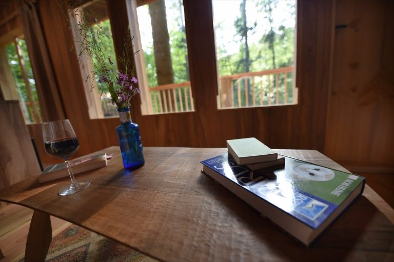 Table by the window inside the Treetop Cabin, looking out over the woodland canopy