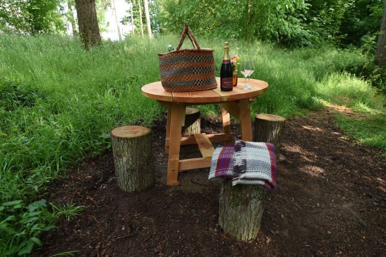 Seating and a fire pit in the wooded glade behind the Treetop Cabin at Redwood Valley