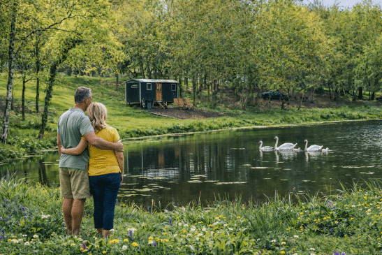 A couple stands with their arms around each other on a grassy bank, looking out over a calm lake with swimming swans toward a shepherd's hut nestled in the trees.