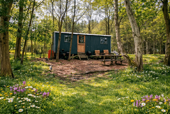 A dark green shepherd's hut with wooden steps and a picnic area is tucked away in a sunlit forest clearing filled with colorful wildflowers.