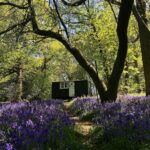 April Special Offers for groups and families at The Green Escape, Surrey Hills near London 