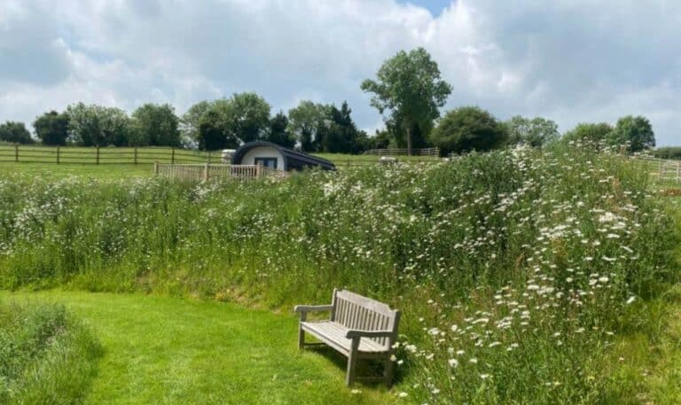 Glamping in Leicestershire countryside views