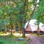 Brambells Glamping Domes and Bell Tents in Suffolk