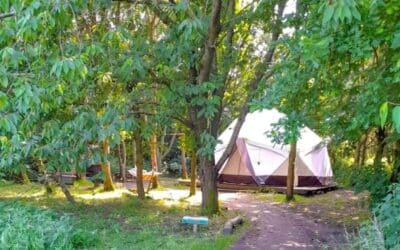 Glamping in a Dome at Brambells Glamping Suffolk