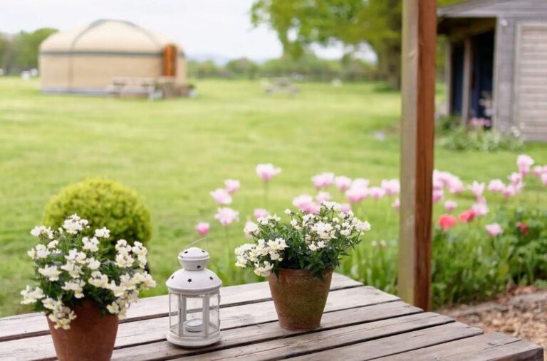 Glamping Holiday on Surrey Sussex Border