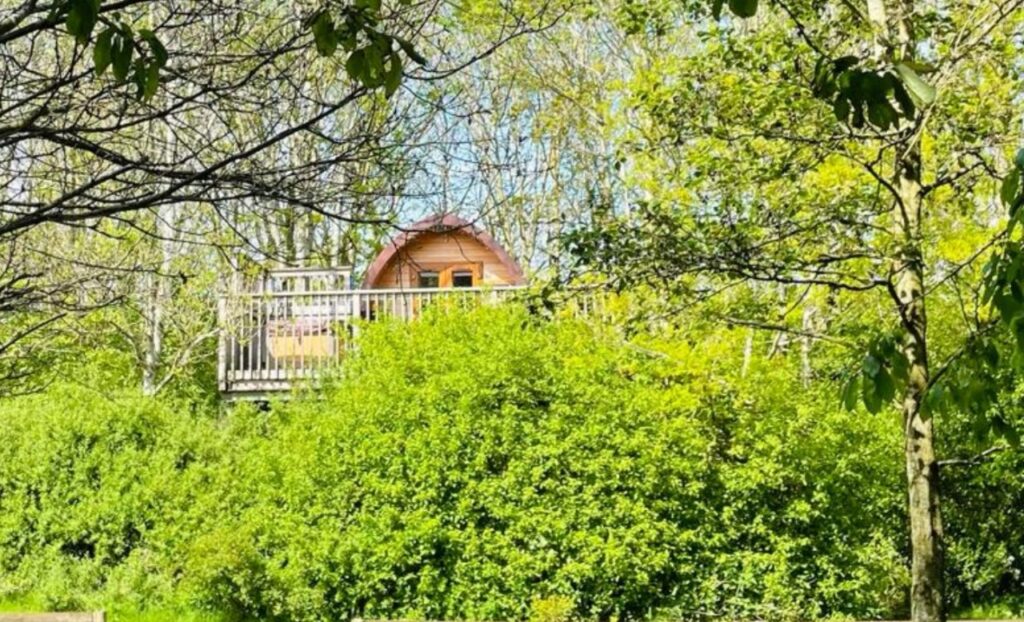 Treetop glamping pod with hot tub at Wootton Park