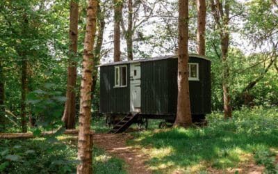 shepherds-hut-group-holidays-surrey-hills