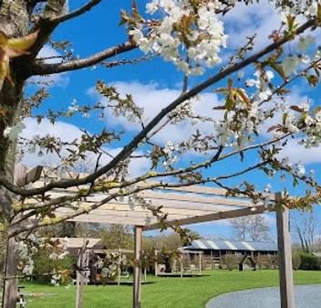 Bloosom at Meadow Falls Lancashire
