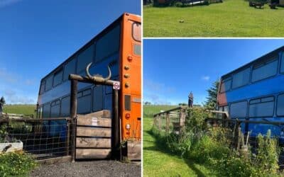 Quirky converted London Bus for glamping at Bracken Barns Scotland
