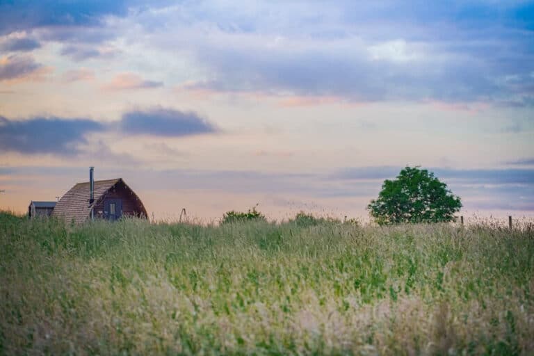 A timber glamping lodge glimpsed across a meadow of tall grass under a pink sunset sky at Tranwell Farm