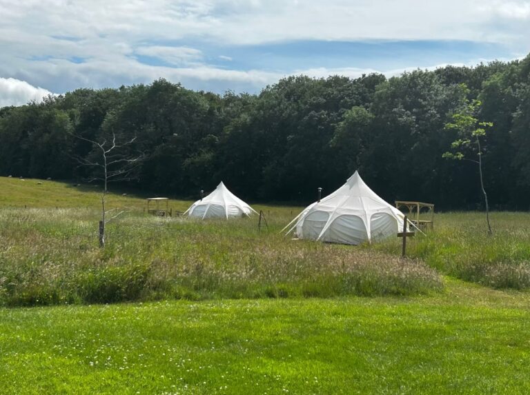 Two white lotus bell tents pitched in a long-grass meadow beside woodland at Tranwell Farm