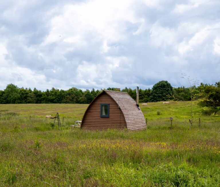 Cedar-clad camping pod with a curved roof standing in a wildflower meadow grazed by sheep at Tranwell Farm, Northumberland