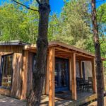 Timber woodland lodge at Tranwell Farm with a covered decked veranda and bi-fold doors, set among pine and birch trees