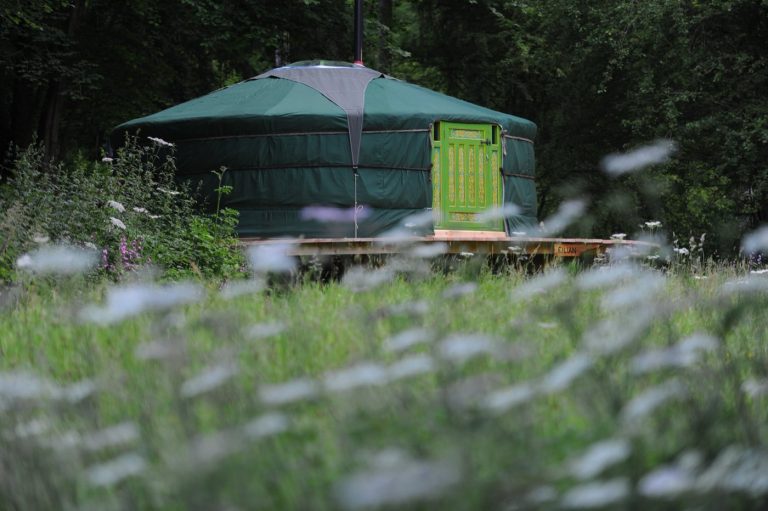 Yurt behind the wildflower meadow at Redwood Valley, on the Powys and Herefordshire border
