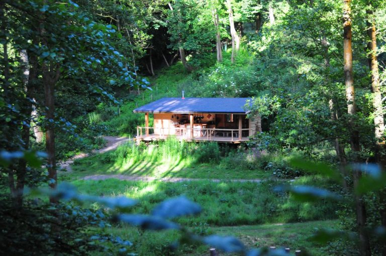 The Treetop Cabin at Redwood Valley, perched on the wooded slope above the valley
