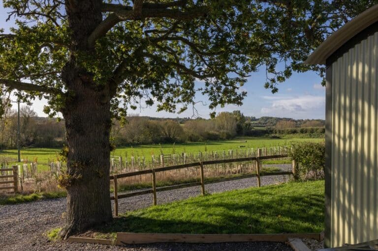 View across open fields from beneath an oak tree at Abbey Farm in the Chilterns near Thame