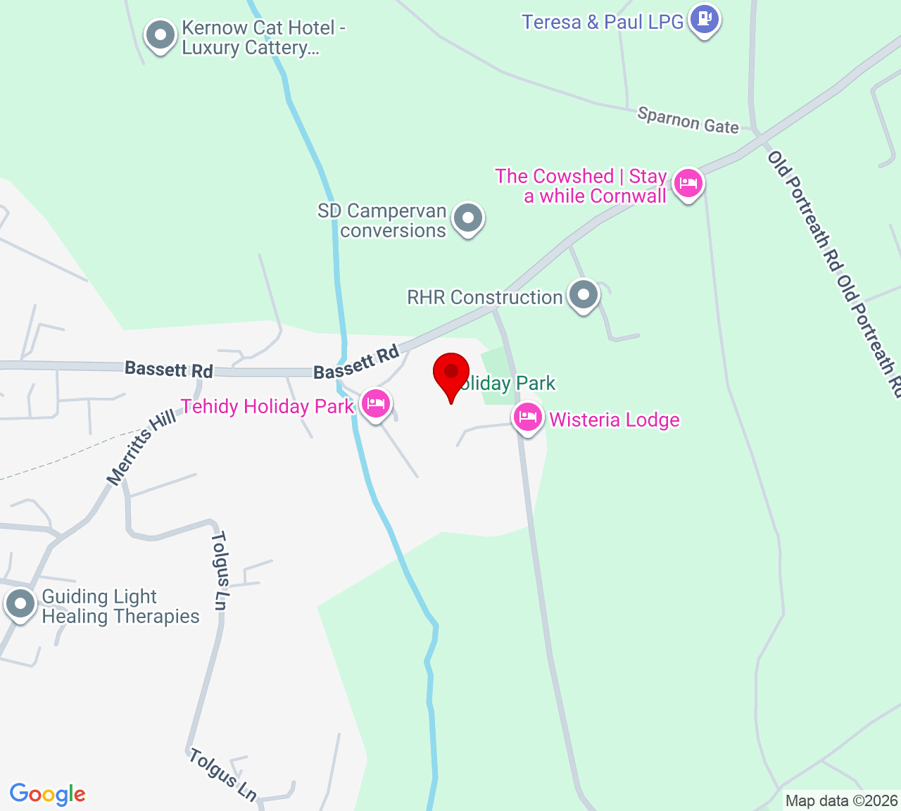 Google Map