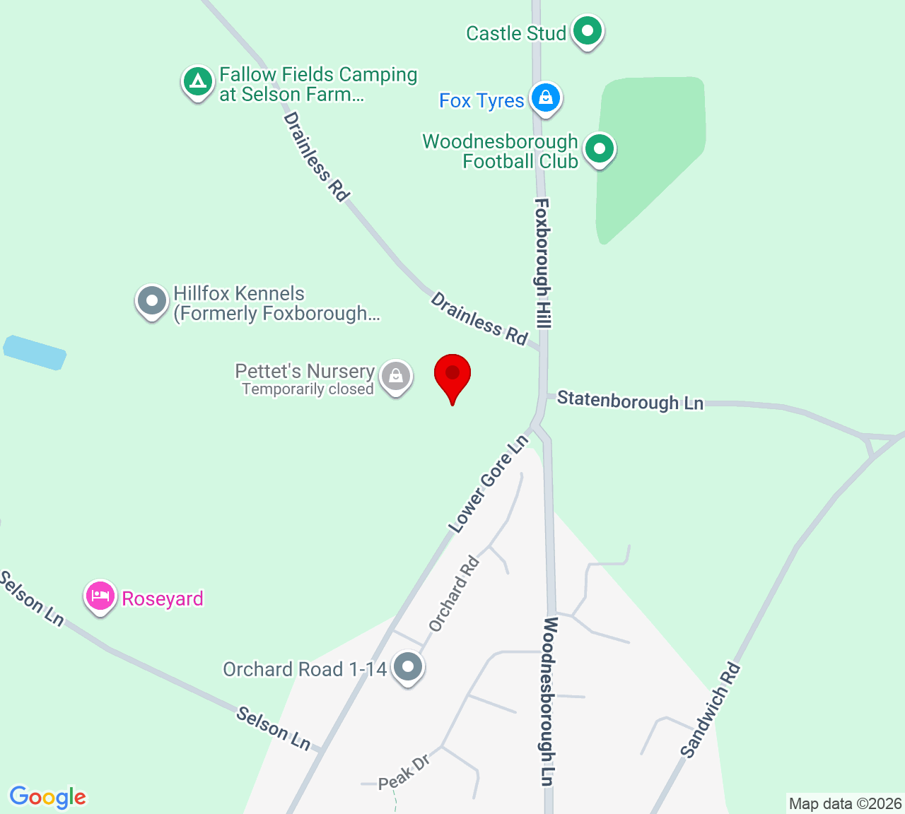 Google Map