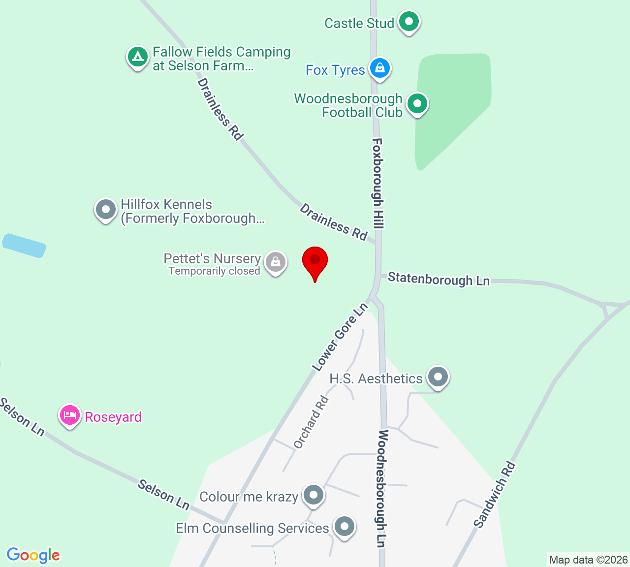 Google Map