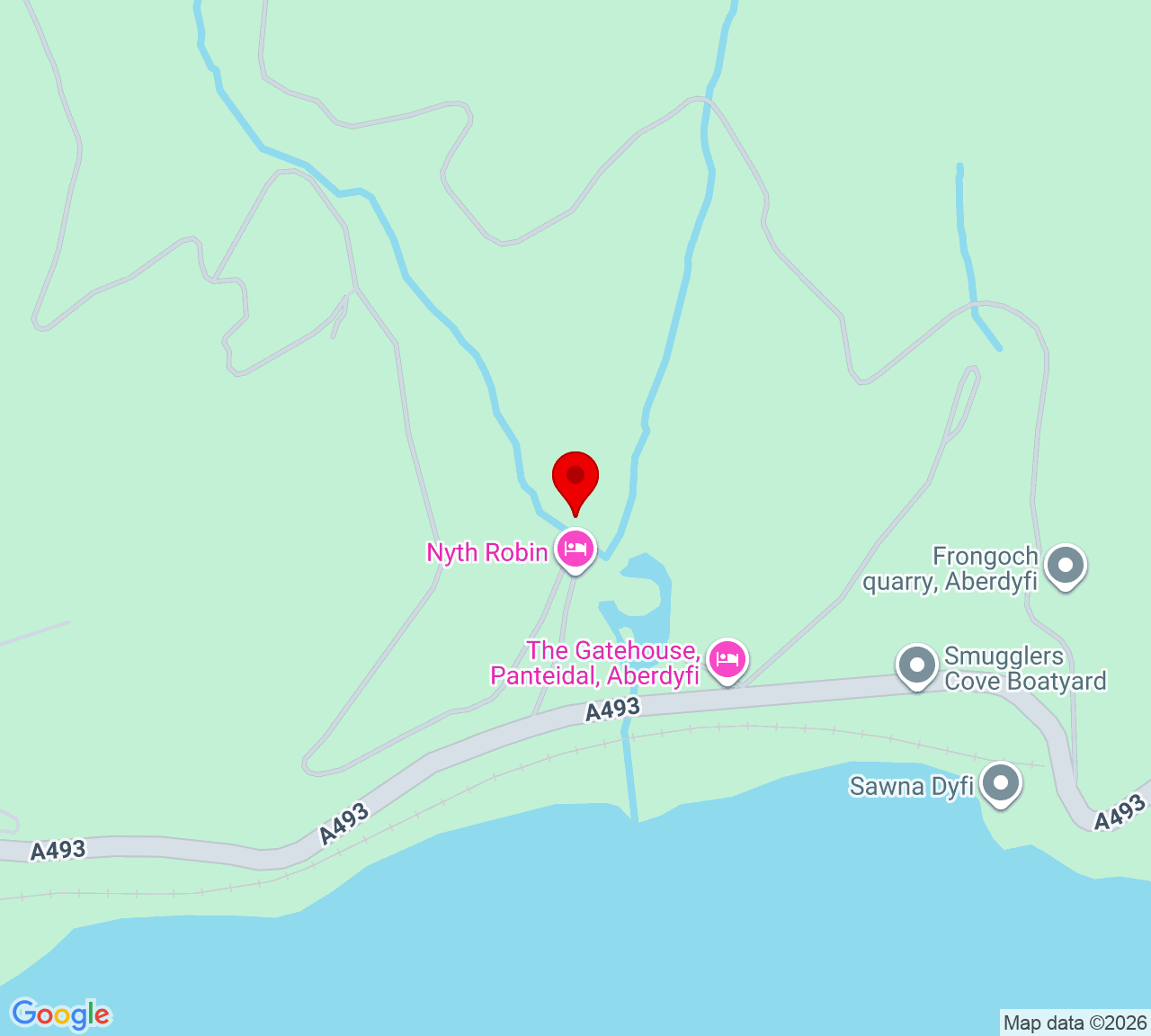 Google Map