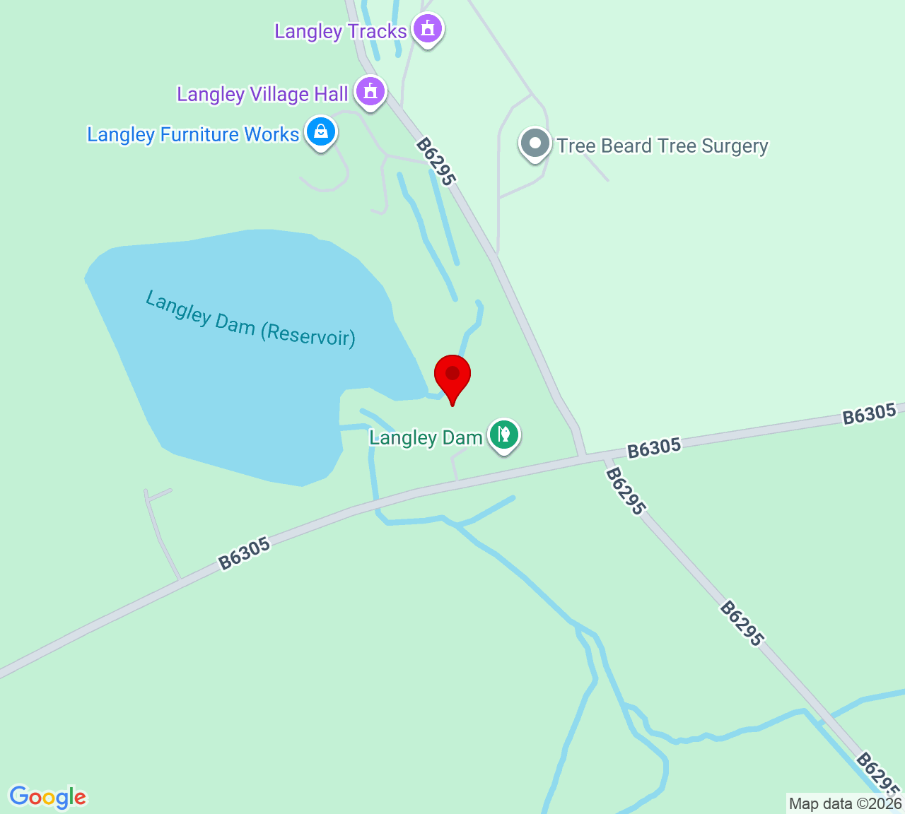Google Map
