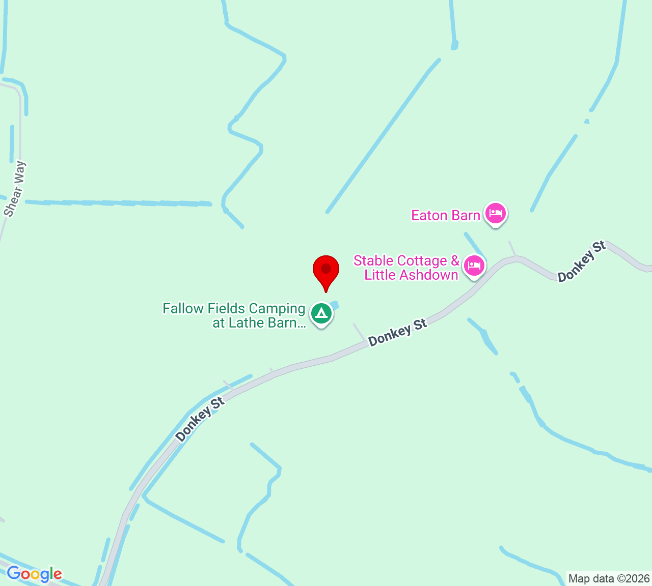 Google Map